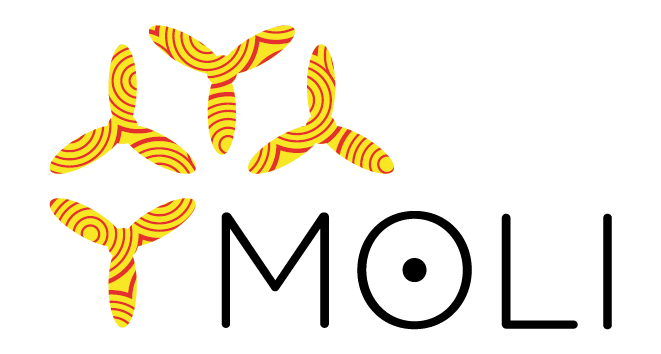 Home logo couleur 56mm